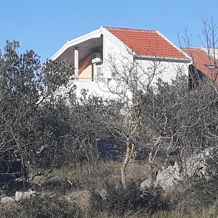 Villa Palfi Jezera Eksteriør billede