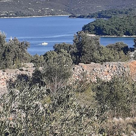 Villa Palfi Jezera Eksteriør billede